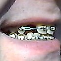 win_20170601_20_12_18_pro.jpg