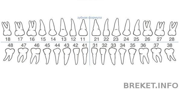 zubnaya-formula.jpg