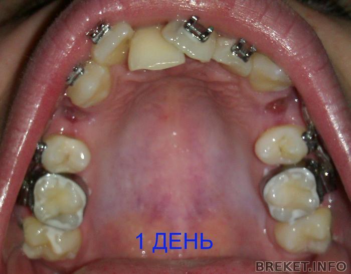 imag1590-1.jpg