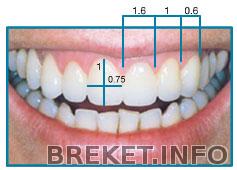 smile-rules-7a.jpeg