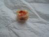 dscn8007.jpg