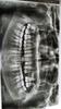20160405_160346_resized.jpg