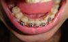dsc01150.jpg