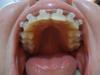 dsc03138.jpg