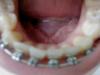 dsc02641.jpg