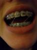sdc15446.jpg