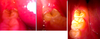 bezymyannyy2.png