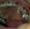 img-20130130-01285.jpg