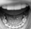 _mg_7493.jpg