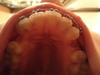 dsc01812.jpg