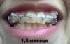 23052012306_ntrc.jpg