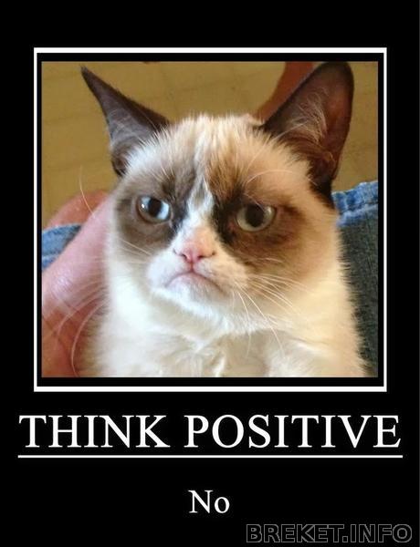 grumpy_cat_motivational_by_ardieum-d67qb38.jpg