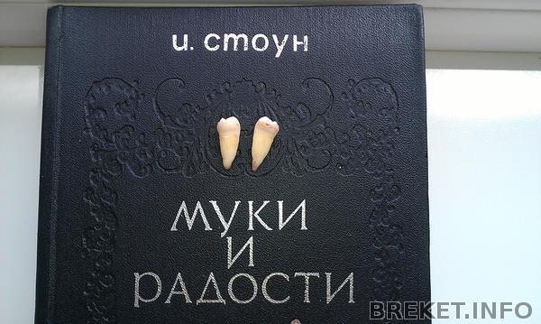 1g9m25_-_1g5m11_19.jpg 1g9m25_-_1g5m11_19.jpg