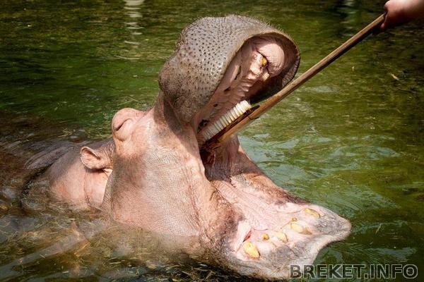 original.jpg original.jpg