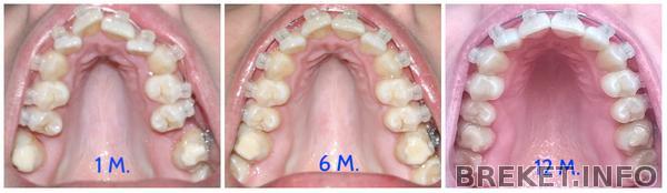 collage_010.jpg collage_010.jpg