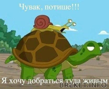 Скоростные мои))))