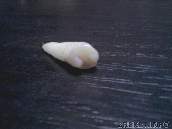 2013-10-03_18.50.55.jpg